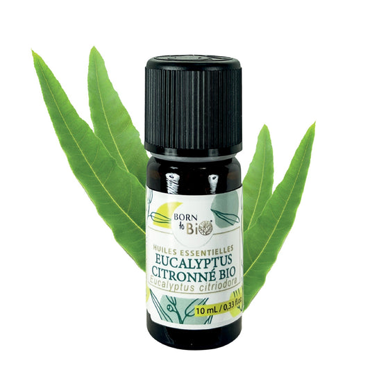 Huile essentielle Eucalyptus citronné Certifiée Bio