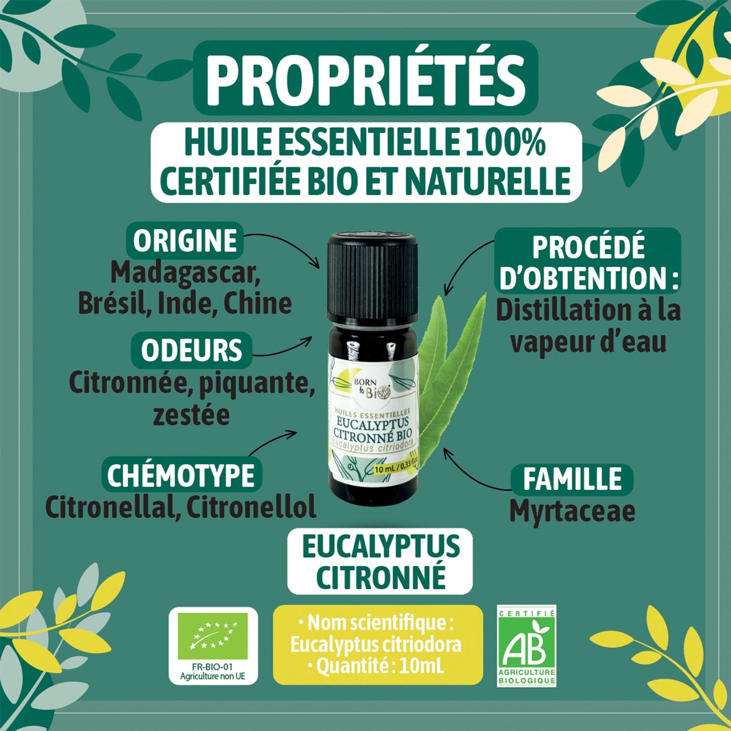 Huile essentielle Eucalyptus citronné Certifiée Bio